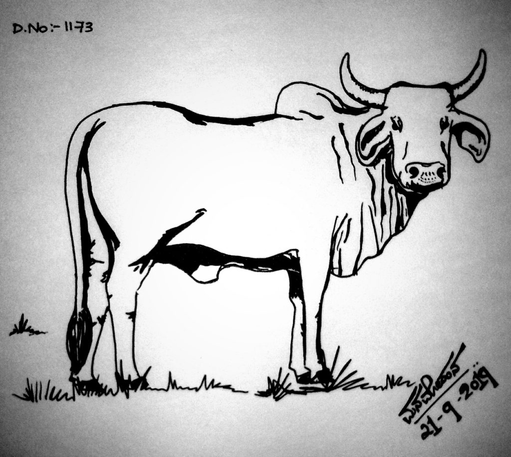 ಚಿತ್ತ-ಚಿತ್ರ
